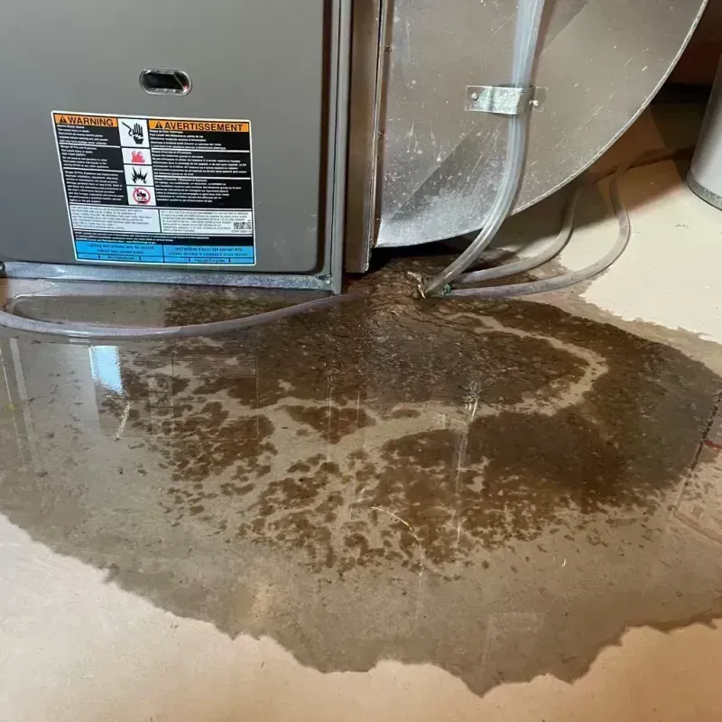 Appliance Leak Cleanup in Winnebago County, IL